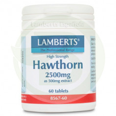 Hawthorn Lamberts