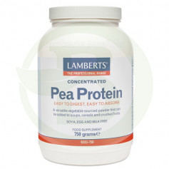 Lamberts de proteína de ervilha (proteína de ervilha)