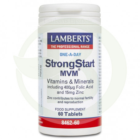 STRONGSTAR MVM (EMBARAZO) LAMBERTS