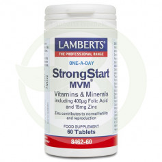 STRONGSTAR MVM (GRAVIDEZ) LAMBERTS