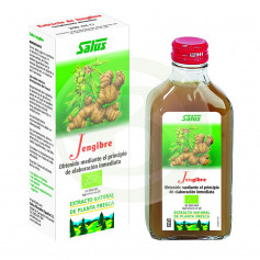 Suco de gengibre 200ml. Salus