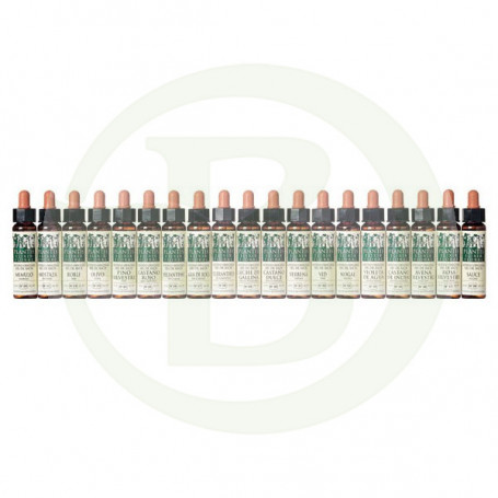 Elixir Floral 35 Castaño de Indias 10Ml. Plantis