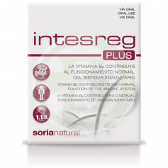 INTESREG PLUS 14 ENVELOPES SORIA NATURAL