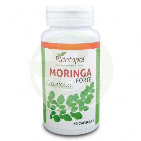 Moringa Forte 60 Cápsulas Planta Pol