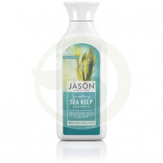 Kelp Seaweed Shampoo 473Ml. Jason