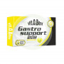 Gastro Support 60 Cápsulas Vit O Best