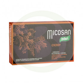 Micosan Energy 40 Cápsulas Santiveri