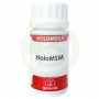 Holomega HoloMSM 50 Cápsulas Equisalud