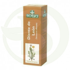 Dandelion 50Ml. Sotya glicerinado