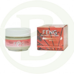 Pomada de bálsamo de gengibre 50ml Feng