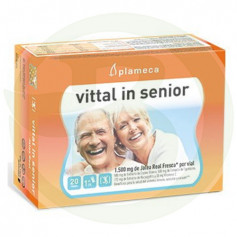 Vittal In Senior 20 frascos de Plameca