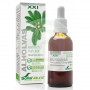 Extracto De Alholvas XXI 50Ml. Soria Natural