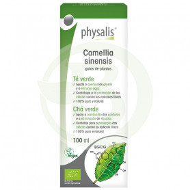 Camellia Sinensis 100Ml. Physalis