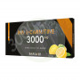 L-carnitina 3.000Mg. 20 frascos de Tegor