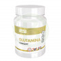 Glutamine Concept 500Gr. Megaplus