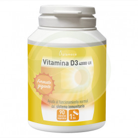 Vitamina D3 4000IU 90 cápsulas Plameca