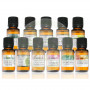 Laurel Essential Oil 5Ml. Terpénico