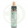 Bach Centaury 10Ml. Santiveri