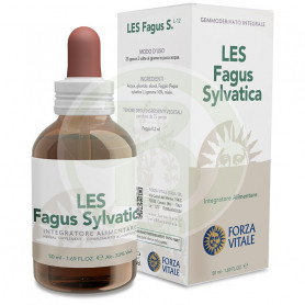 Les Fagus Sylvatica (Beech) 50Ml. Forza Vitale