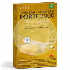 Jelly Forte 2000 20 Ampolas Intersa