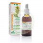 Composor 11 XXI Digeslan Complex 50Ml. Soria Natural