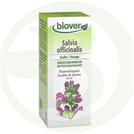 Extrato de Salvia Officinalis (Salvia) Biover