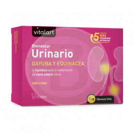 Vitalart Urinary Wellness 10 Sachês Vitalart