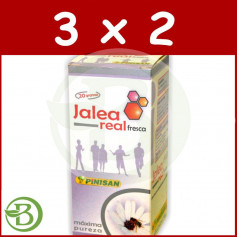 Pack 3x2 Geleia Real Fresca 20Gr. Pinisán