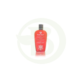 Gel de banho e banho de açafrão e mel 250ml Radhe Shyam