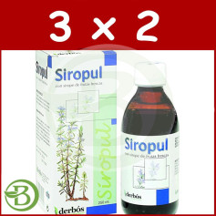 Embalagem 3x2 Siropul 250Ml. derbos