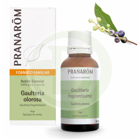 Olorosa Wintergreen Essential Oil Bio 30Ml Pranarom