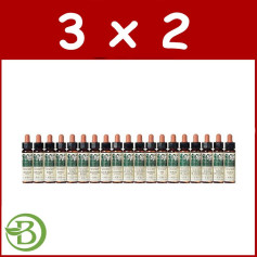 Embalagem 3x2 Elixir Floral 15 Holly 10Ml. plantas