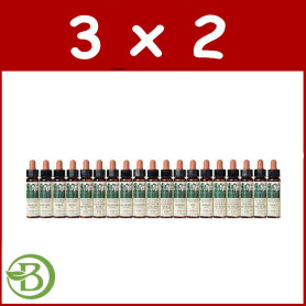 Pack 3x2 ELIXIR FLORAL 24 PINE 10Ml. PLANTIS