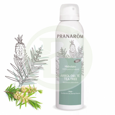 Tea Tree Hydrosol 150ml Pranarom