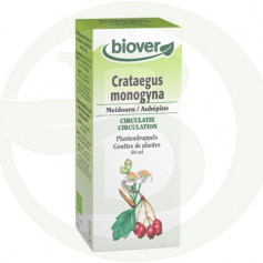 Extrato de biover crataegus Monogyna (Hawthorn)