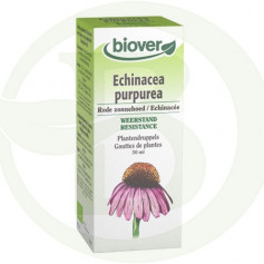 Bioder de extrato de Echinacea purpurea (Echinacea)