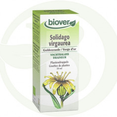 Extrato de Solidago Virgaurea (Goldenrod) Biover