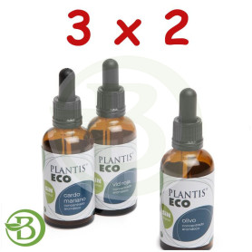 Pack 3x2 Extracto de Ginkgo ECO S/A 50Ml. Palntis