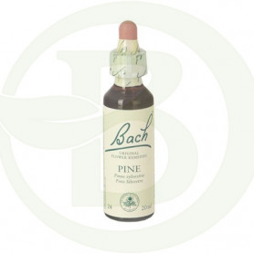 Flor de Bach Pine (Pino Silvestre) 20Ml. Bach