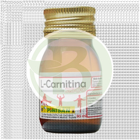 L-Carnitina 2500 1 Vial 30Ml. Pinisan