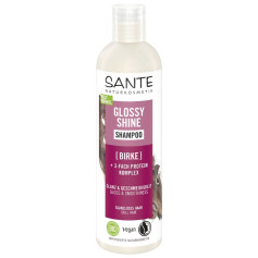 Shampoo Brilho Radiante Bétula 250Ml Sante