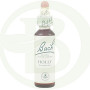 Flores de Bach Holly (Acebo) Nº15 20Ml. Bach