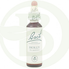 Bach Holly Flowers (Holly) 20Ml. Bach