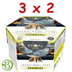 Pacote 3x2 Regal Bee Defenses 20 Frascos Nova Diet