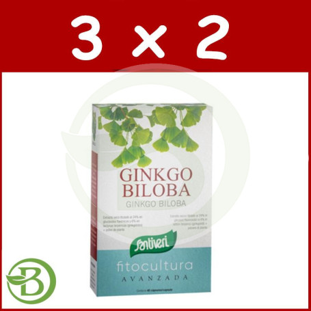 Pack 3x2 Ginkgo 40 Cápsulas Santiveri