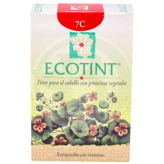 Ecotint Ash Blonde 7C Noefar