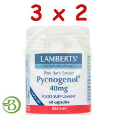 Pacote 3x2 Lamberts de Picnogenol