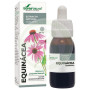 Echinacea Extract Formula XXI 50Ml. Soria Natural