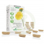 Dandelion Formula XXI Soria Natural