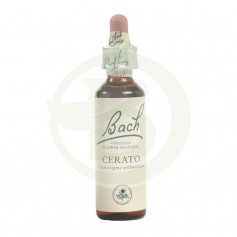 Flores Bach Cerato (Ceratostigma) 20Ml. Bach